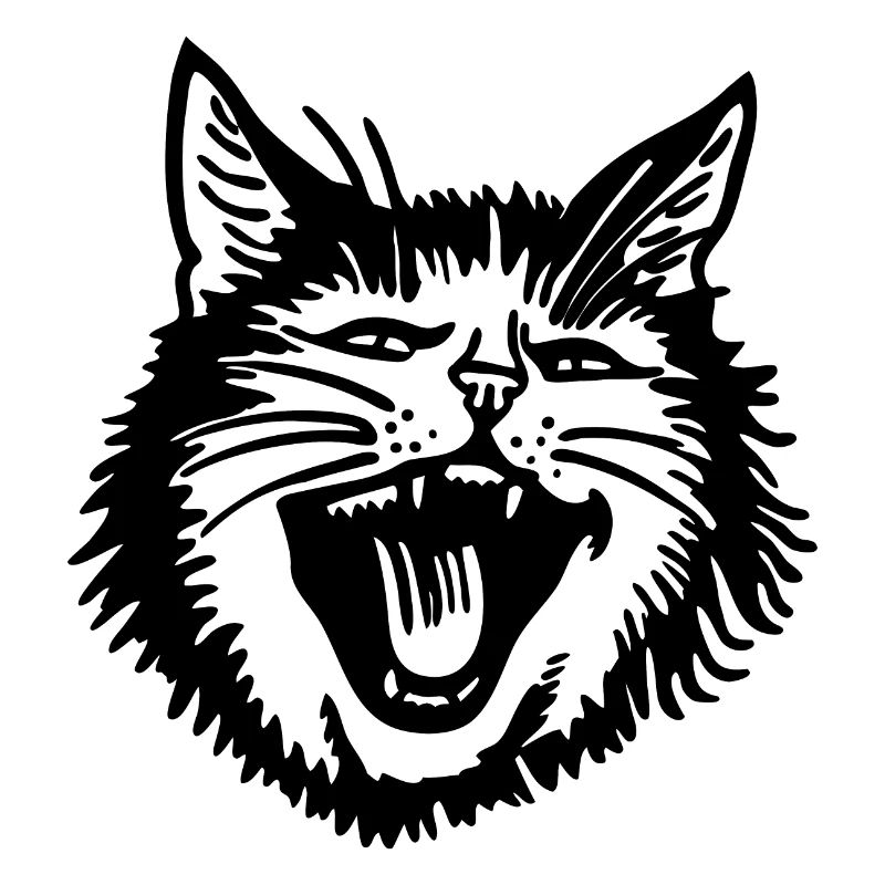 Chat Chats Chat Dame Chat Amoureux Chat Visage