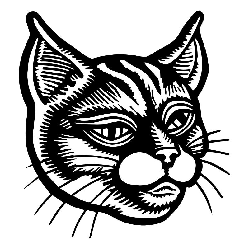 Katze Katzen Katzengesicht