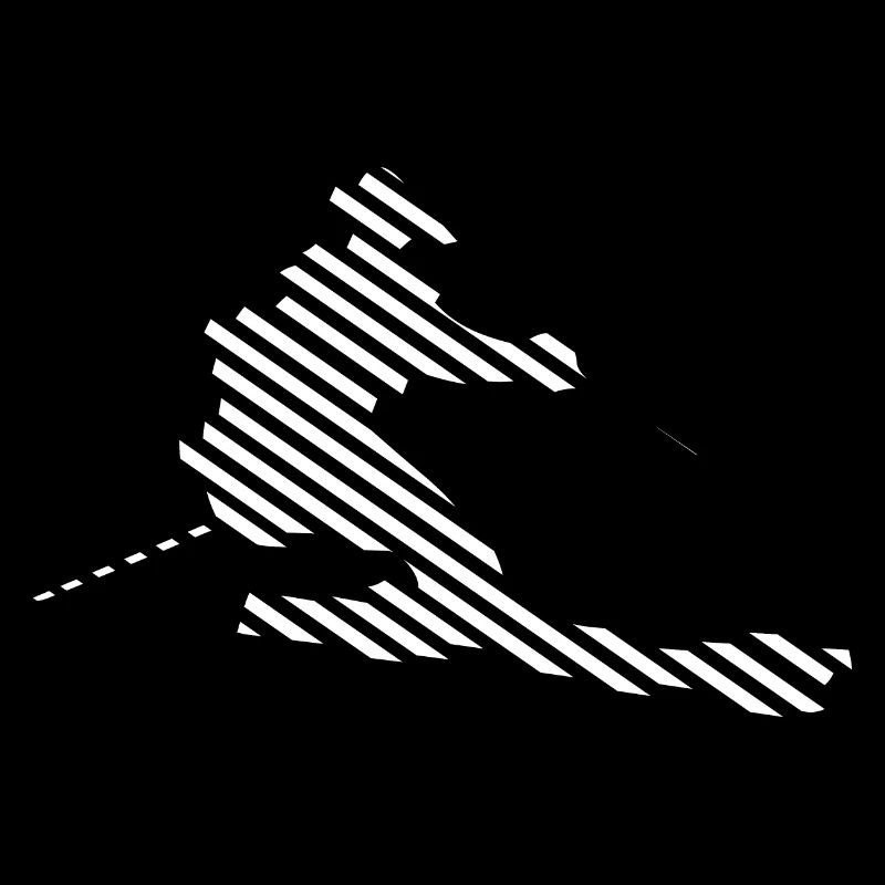 Ski - (21)