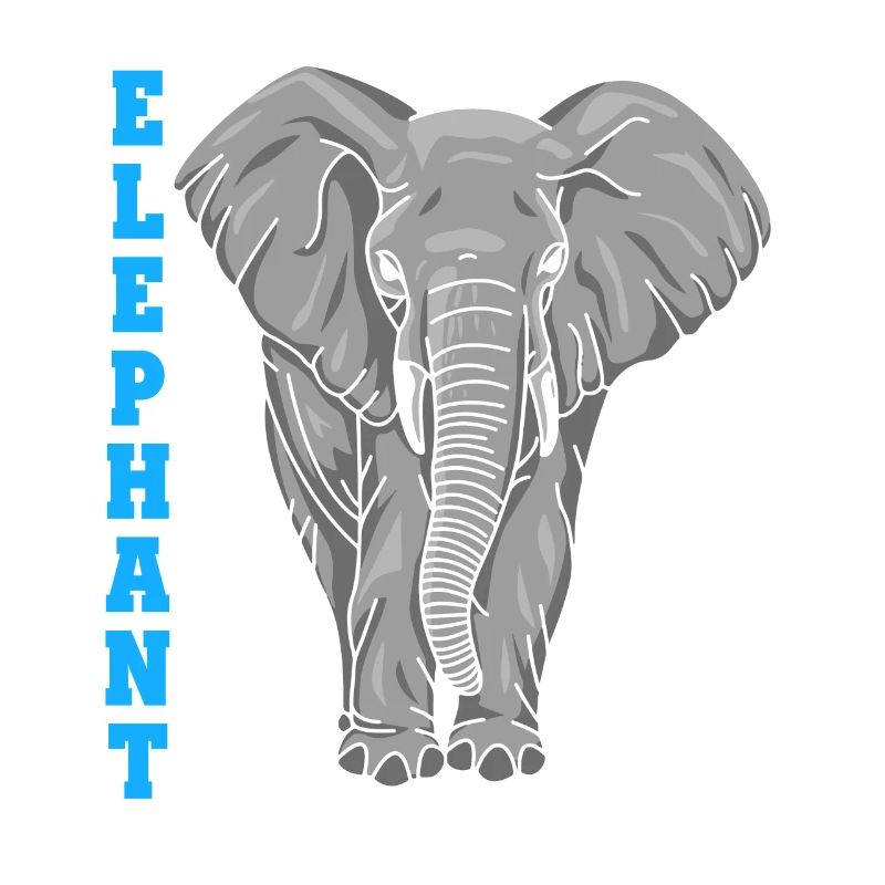 Elephant Elephant Whisperer