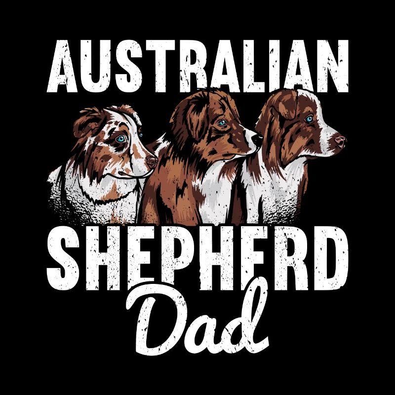 Australischer Schäferhund