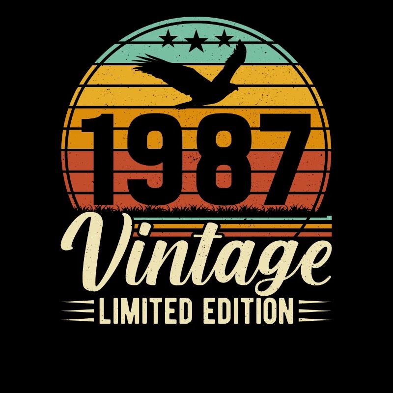 Unique 1987 Birth Year Retro Design