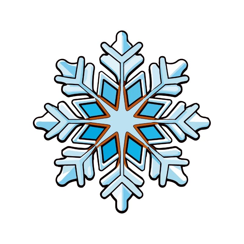 Snowflake Snow Icon
