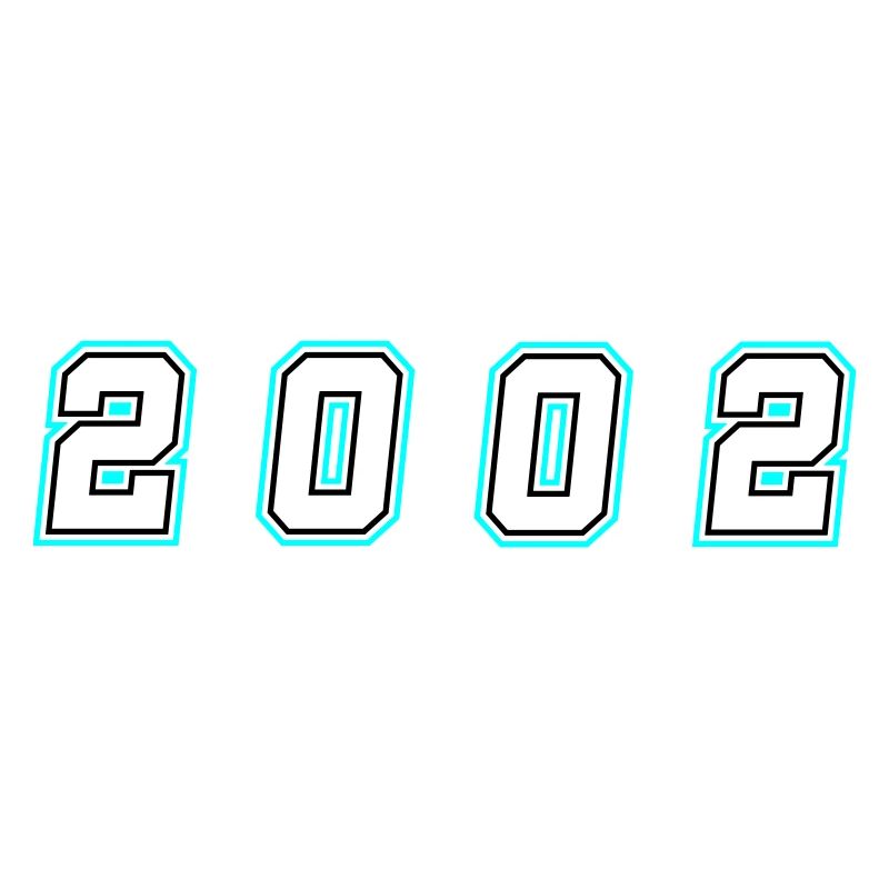 2002 Year Number
