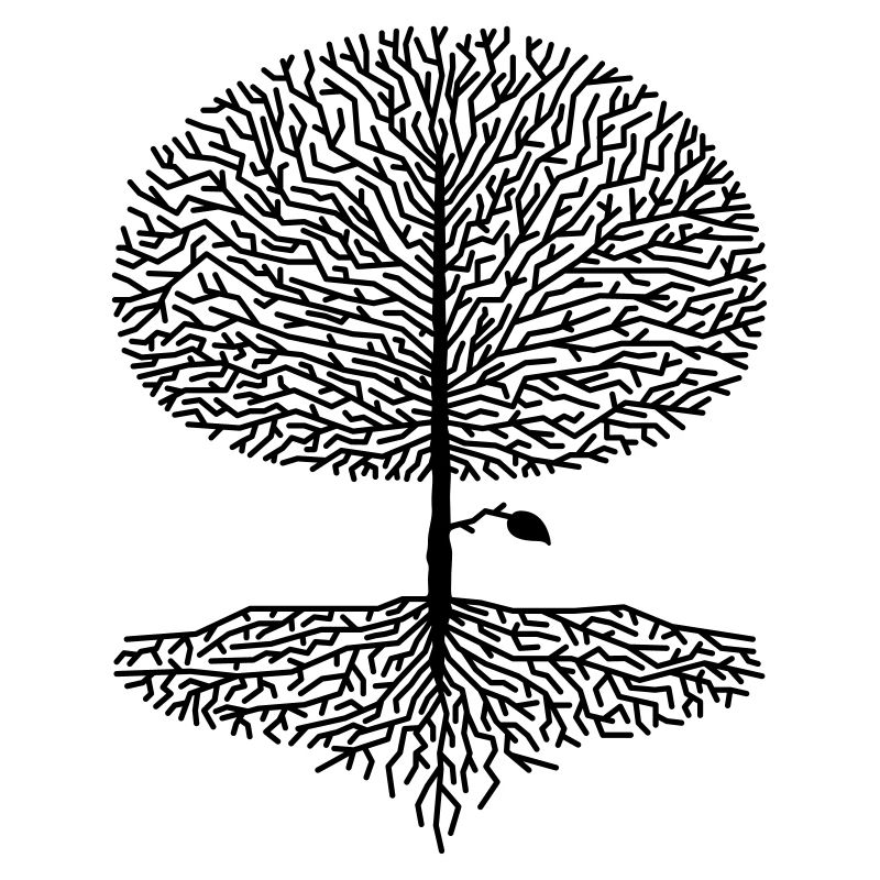 Deciduous Tree Crown Branches Forest Oaks Beech Nature Climate