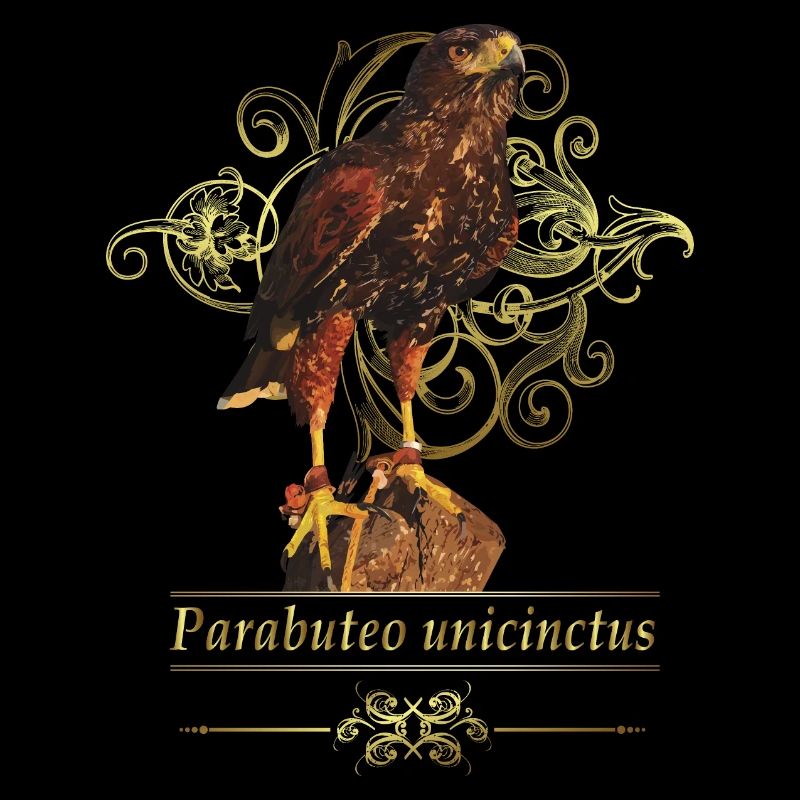 Reddish-reddish hawk