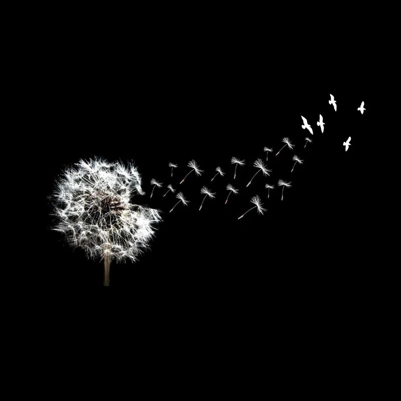 Pissenlit Oiseaux Fleur