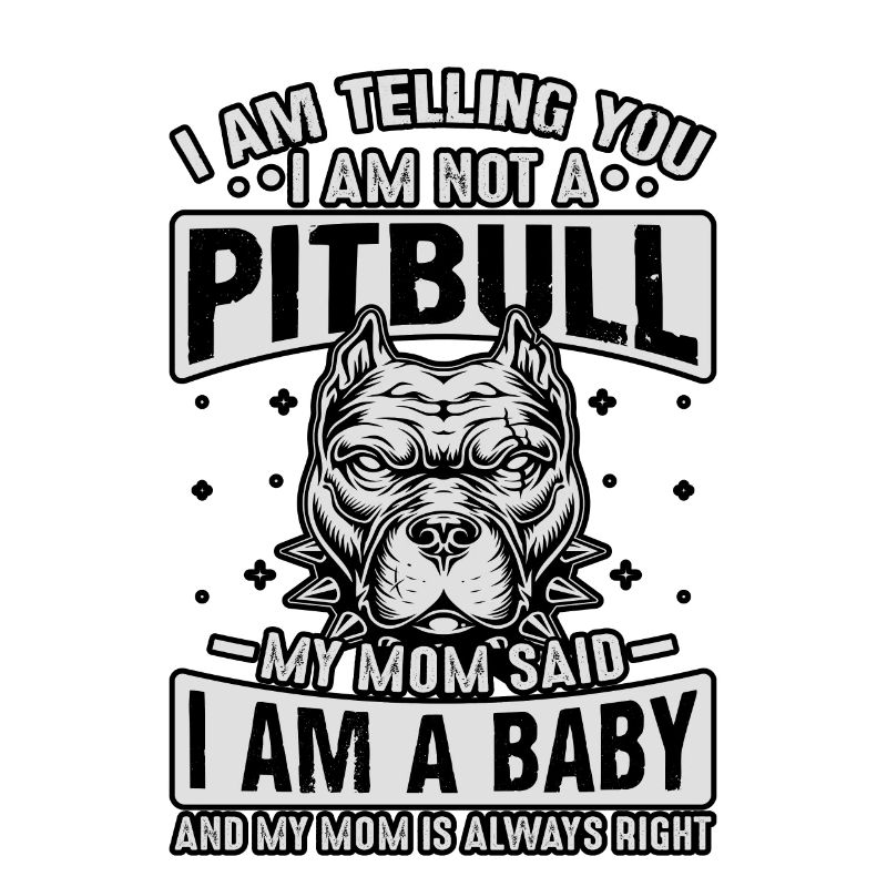 Je te dis pitbull ma mère a dit que je suis un bébé