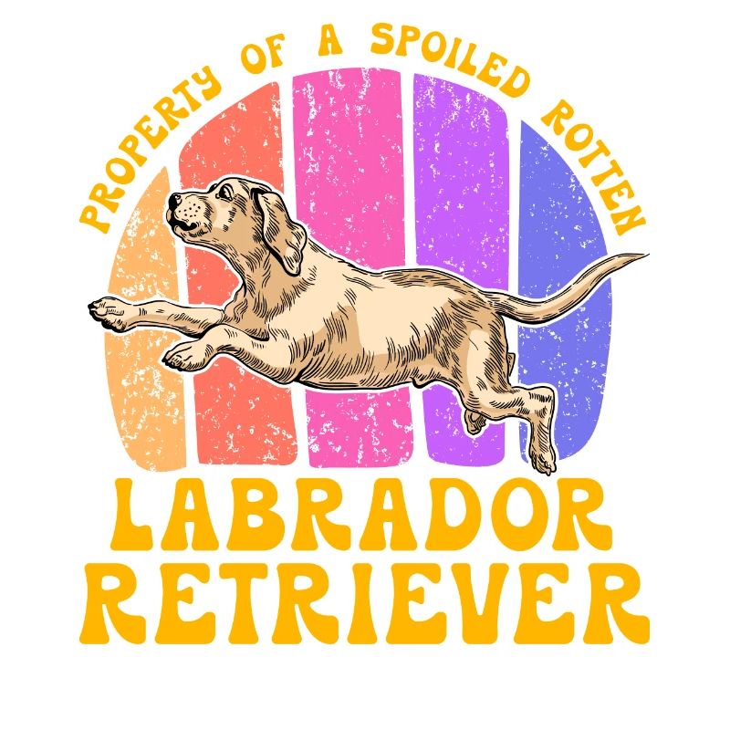 Propriété d’un Labrador Retriever pourri gâté