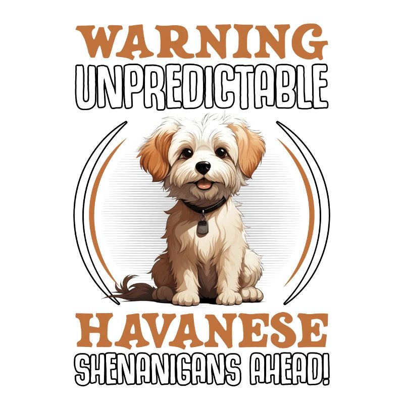 Warning unpredictable Havanese Shenanigans ahead