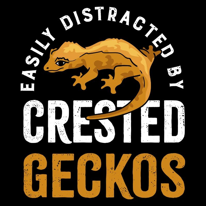 Distracted by Geckos Cute Lizard Crested Geckos