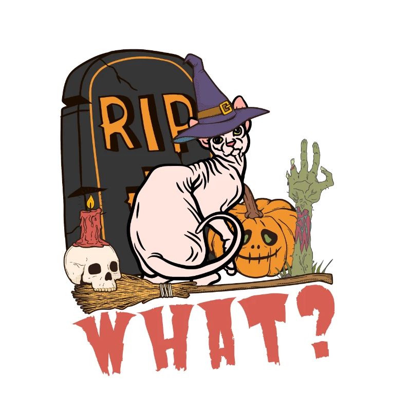 Mignon et effrayant chat d’Halloween Sphynx