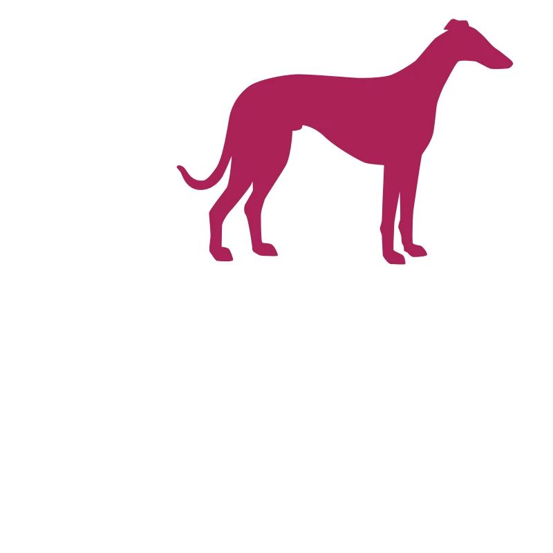 Whippet