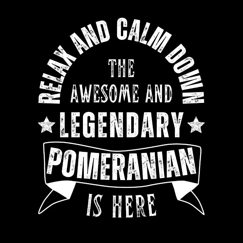 Relax my Legendary Dwarf Spitz is retro here