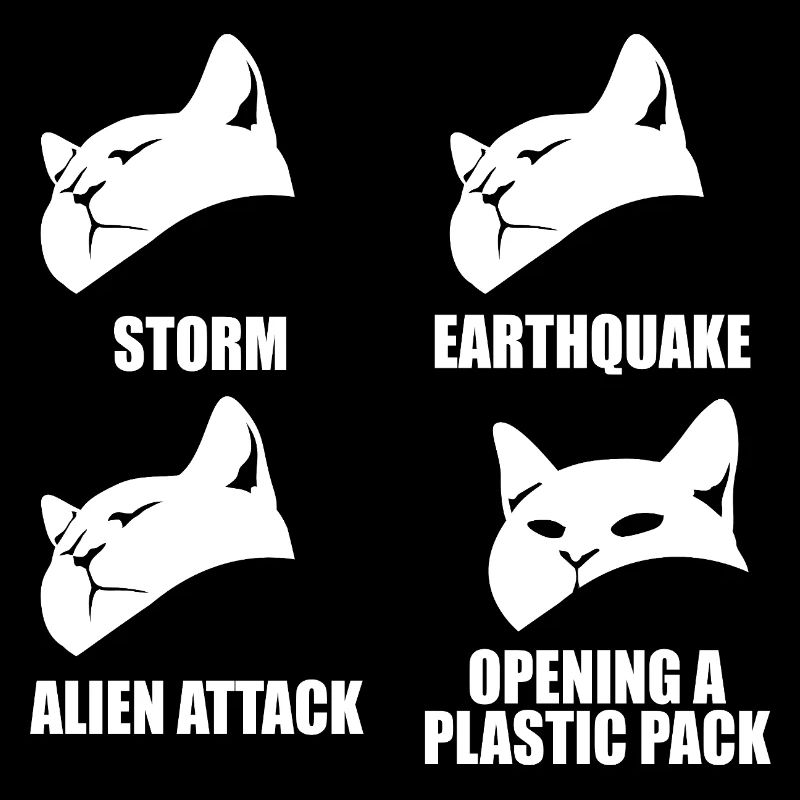 Cat - selective perception - saying