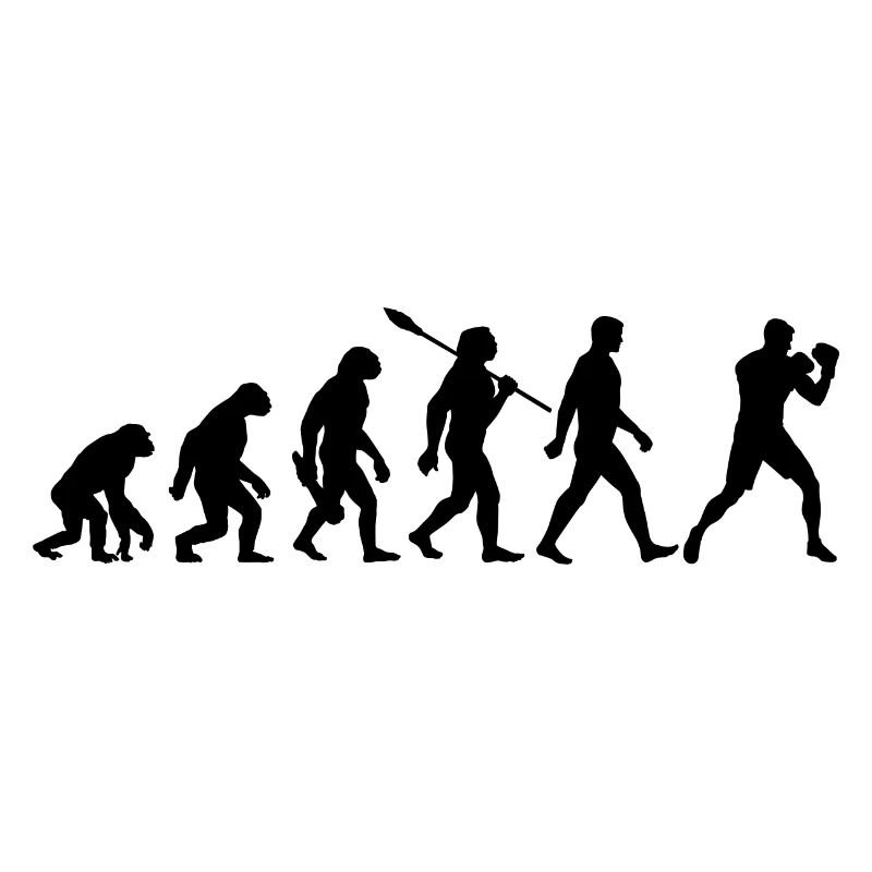 Evolution - Boxe, Arts martiaux, Entraînement de boxe