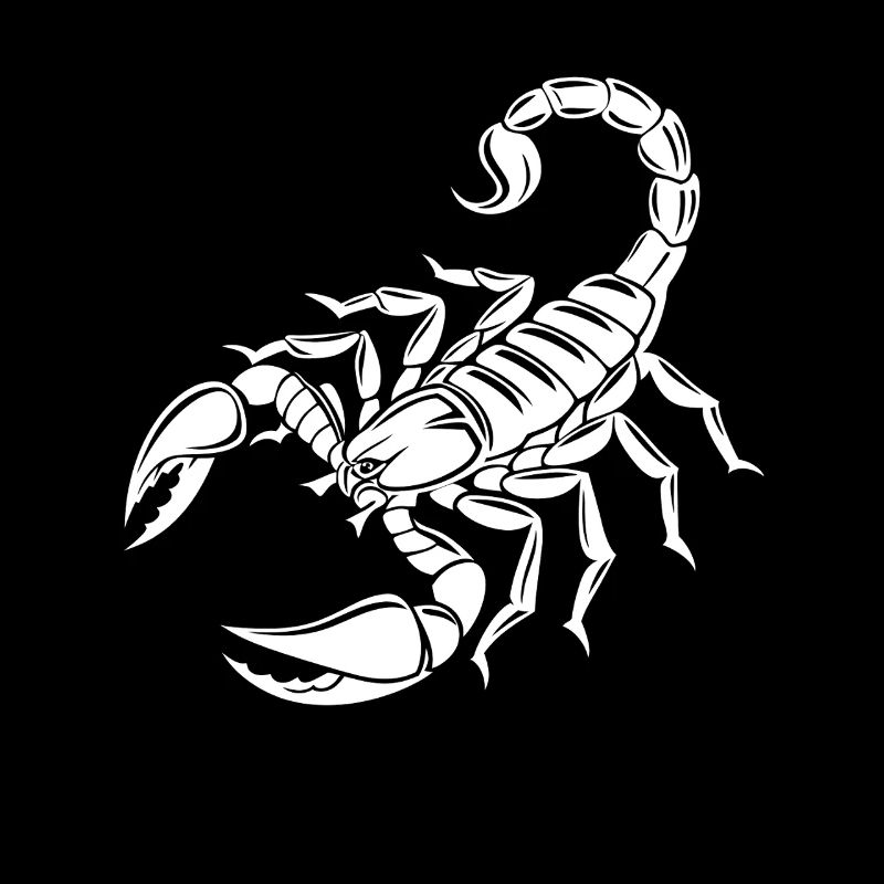 Skorpion - Giftstachel - Artenschutz - Lebensraum