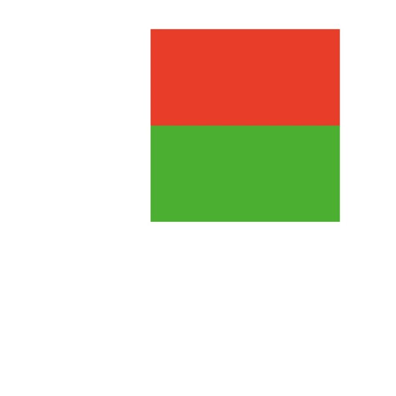 Offizielle Madagaskarflagge Madagassisch oder Madagassisch