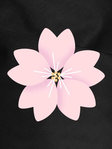 Kirschblüte