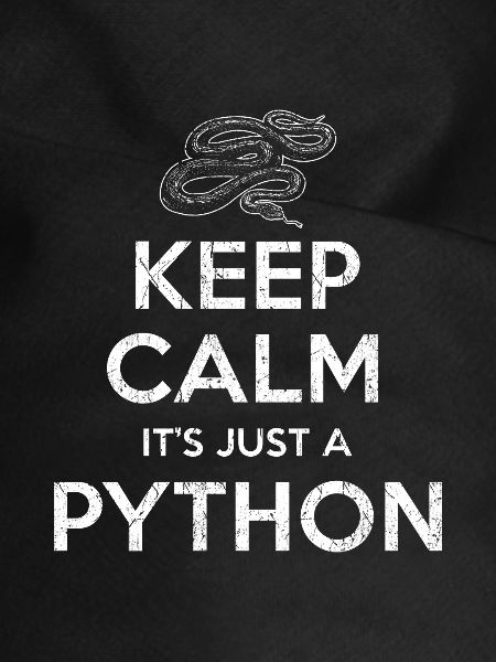 Python Schlange
