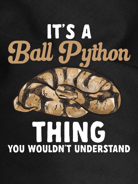 Ball Python Schlange Königspython