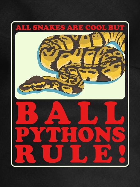Königspython Python Schlange Geschenk