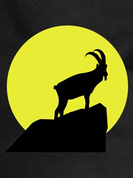 Sternzeichen Steinbock