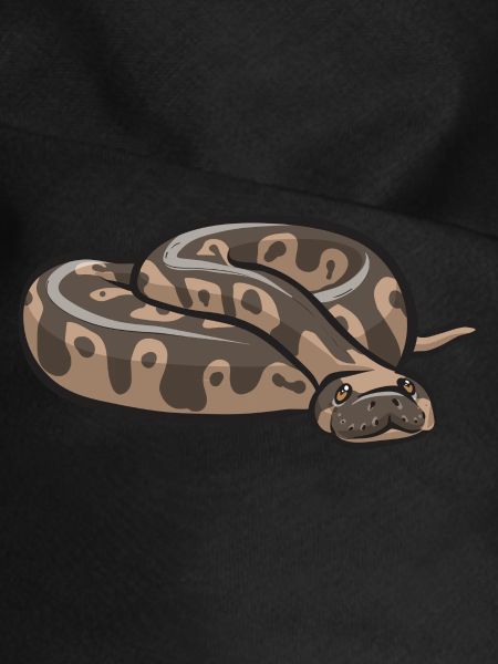 Ball Python Schlange Königspython