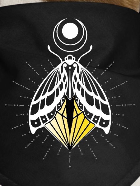Firefly Moth Moth Moth