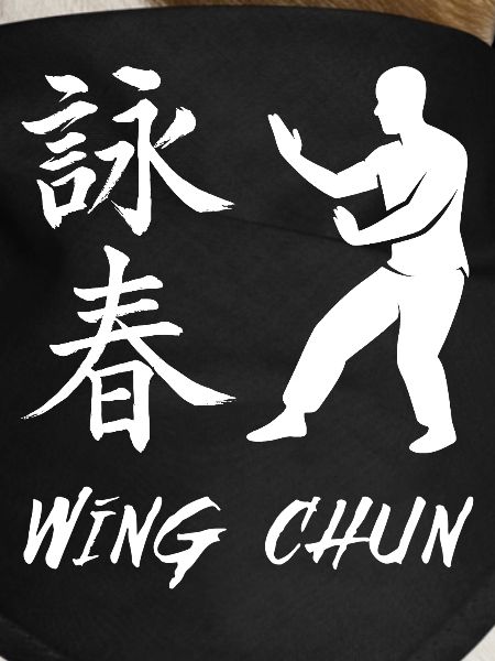 Wing Chun Fighter