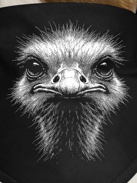 Ostrich Head