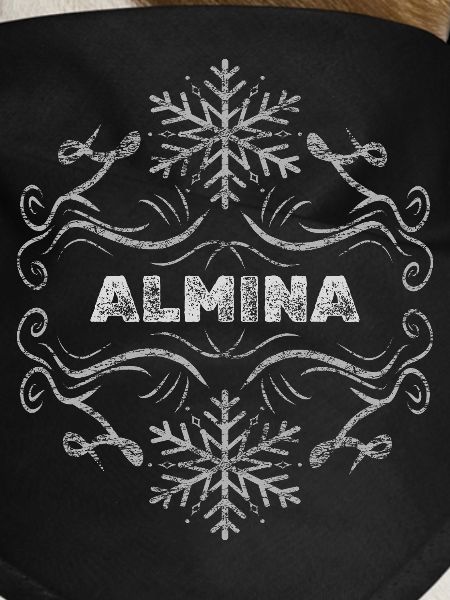 Gift for Almina
