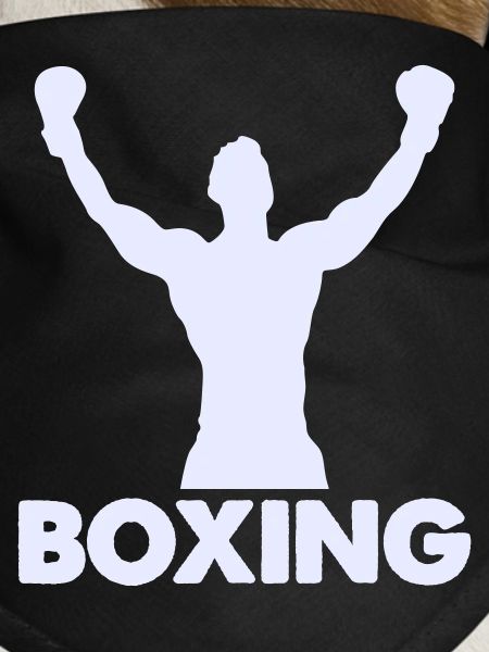 Boxer Sieg Silhouette