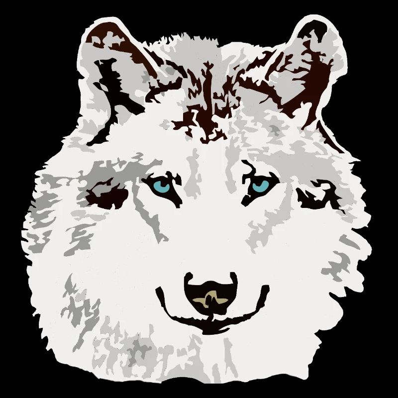 Weisser Wolf blaue Augen