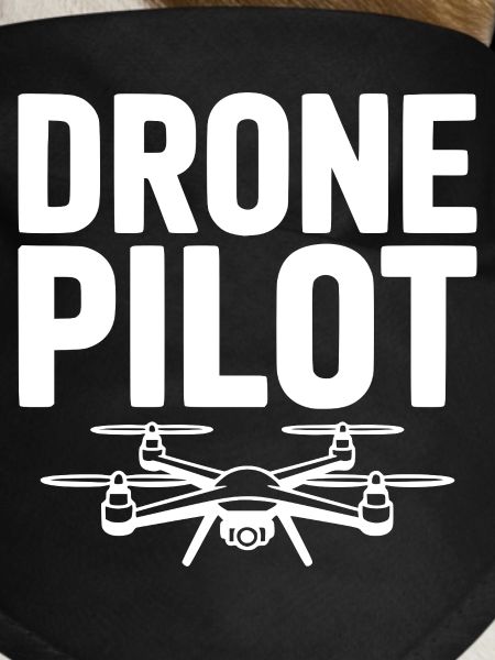 Drone Pilot