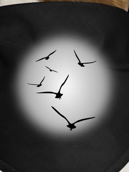 flight of birds