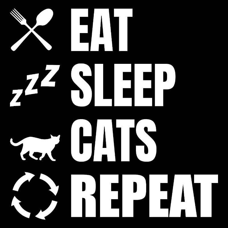 Manger dormir chats répéter