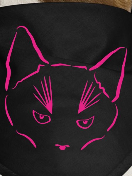 Katze im Fokus