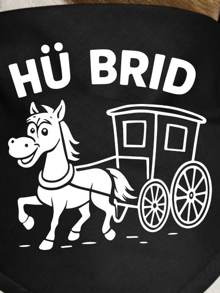 Hü Brid