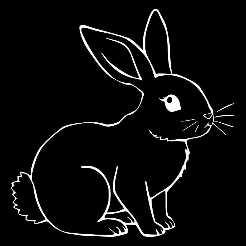 Rabbit Bunny Bunny Dwarf Rabbit Gift