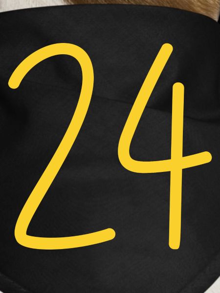 24