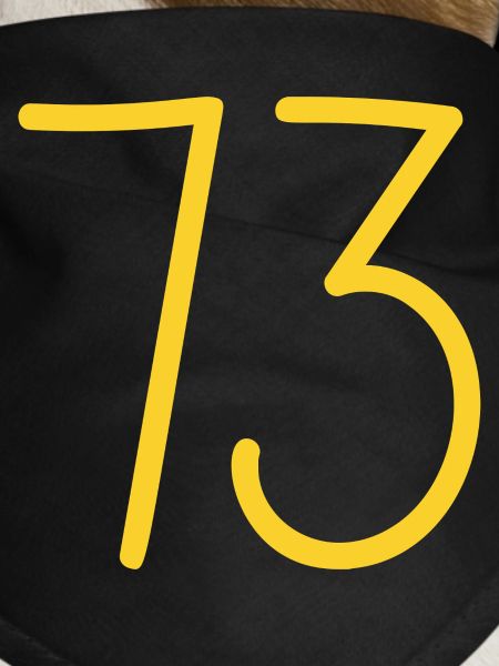 73