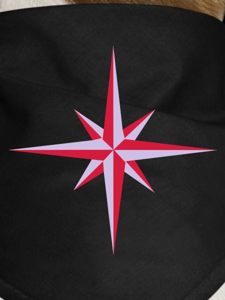 Compass
