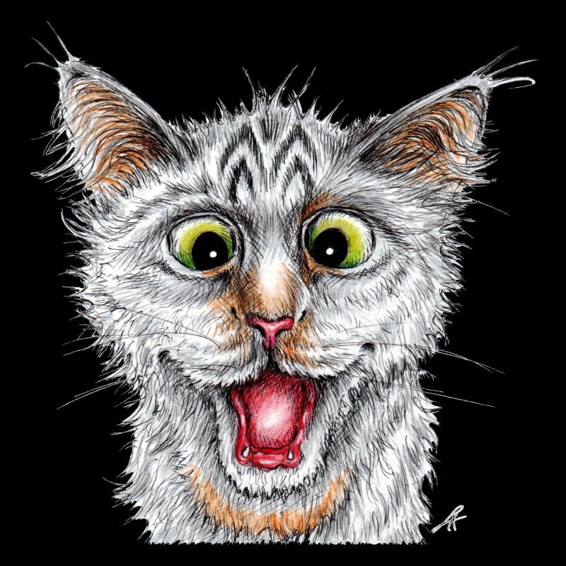 Chat heureux