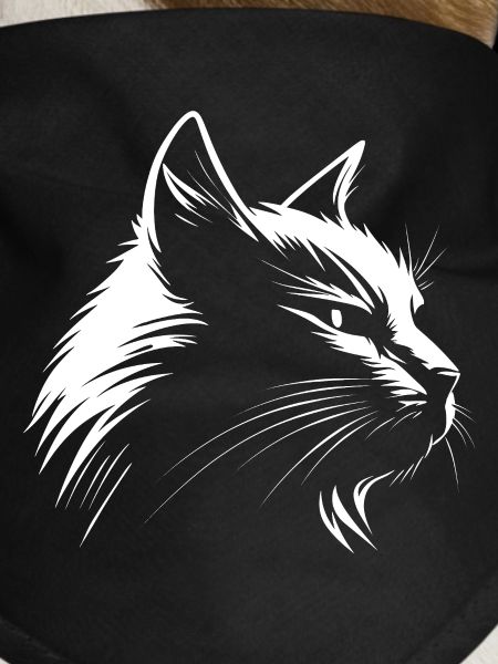Cat white :-)