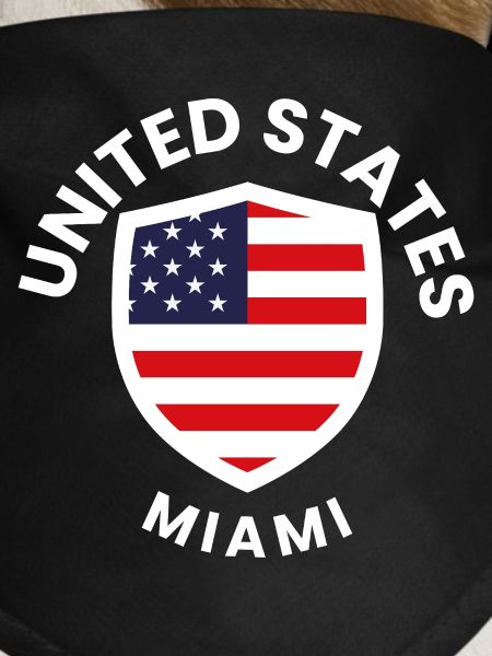Miami Flag Shield