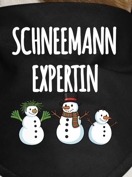 Snowman Expert