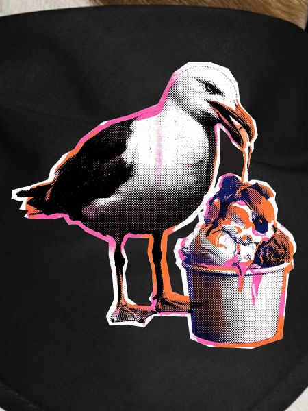 Möwe Isst Eis