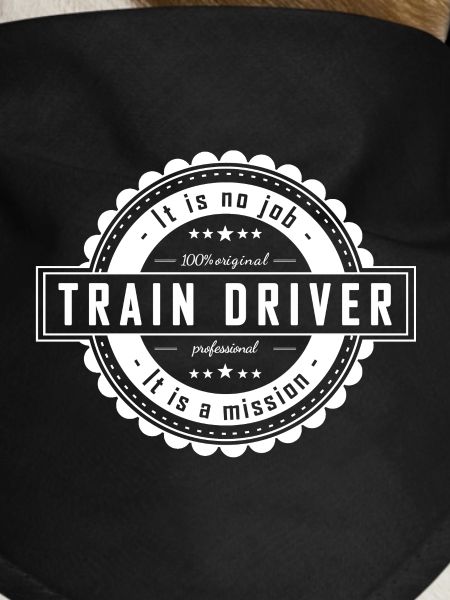 TRAIN DRIVER