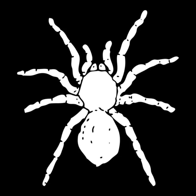 Spinne